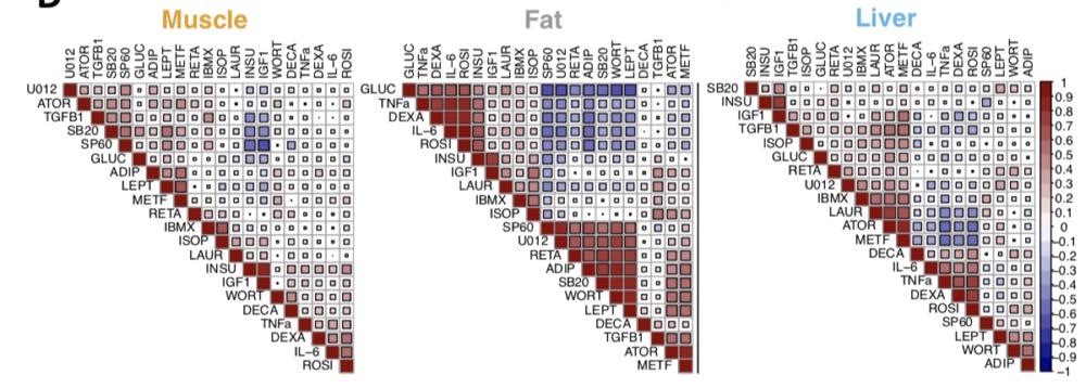 Gene by environment figure